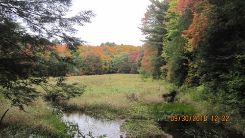 Photo from Introduction to backpacking - A first trip with Tim