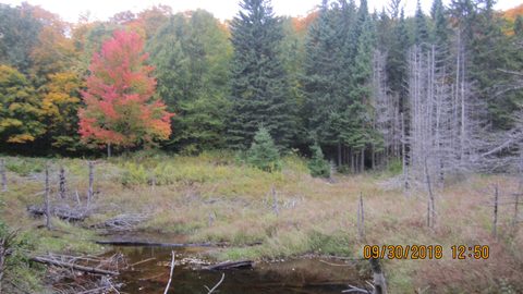 Photo from Introduction to backpacking - A first trip with Tim