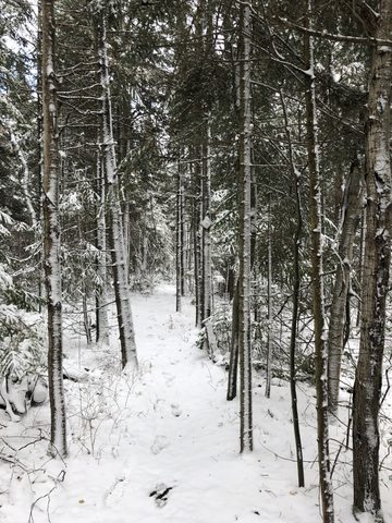 Photo from Backpacking on the Bruce near Lion's Head