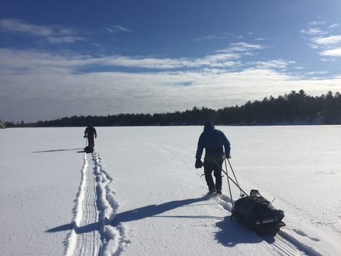 Photo from Queen Elizabeth II Wildlands - 2019 Pulk Pull