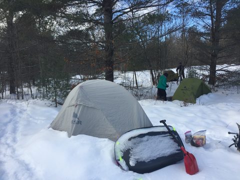 Photo from Queen Elizabeth II Wildlands - 2019 Pulk Pull