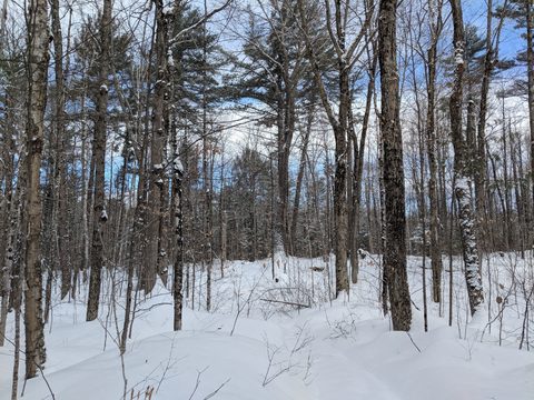Photo from Beginners Winter Backpacking Course