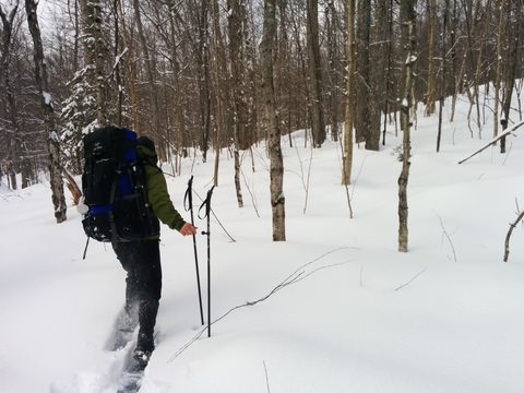 Photo from New Moon Snowshoeing, Guskewau Lake, Algonquin