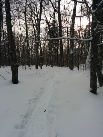 Photo from New Moon Snowshoeing, Guskewau Lake, Algonquin