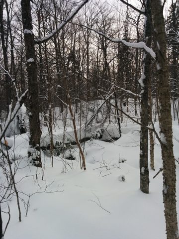 Photo from New Moon Snowshoeing, Guskewau Lake, Algonquin