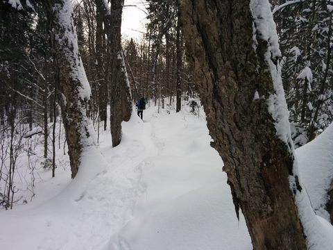 Photo from New Moon Snowshoeing, Guskewau Lake, Algonquin