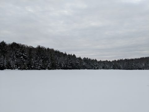 Photo from New Moon Snowshoeing, Guskewau Lake, Algonquin