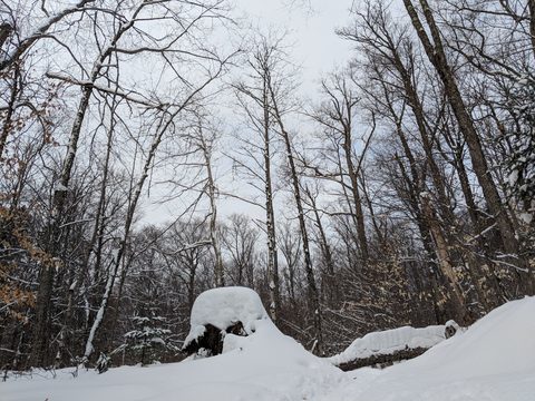 Photo from New Moon Snowshoeing, Guskewau Lake, Algonquin