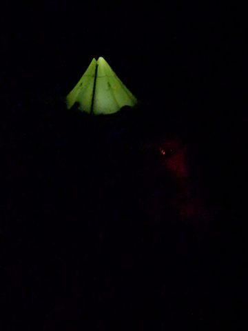 Photo from New Moon Snowshoeing, Guskewau Lake, Algonquin