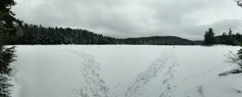 Photo from New Moon Snowshoeing, Guskewau Lake, Algonquin