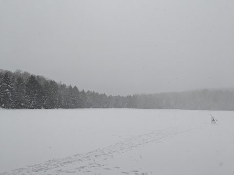 Photo from New Moon Snowshoeing, Guskewau Lake, Algonquin