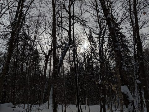 Photo from New Moon Snowshoeing, Guskewau Lake, Algonquin