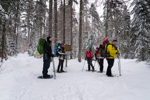 Photo from New Moon Snowshoeing, Guskewau Lake, Algonquin