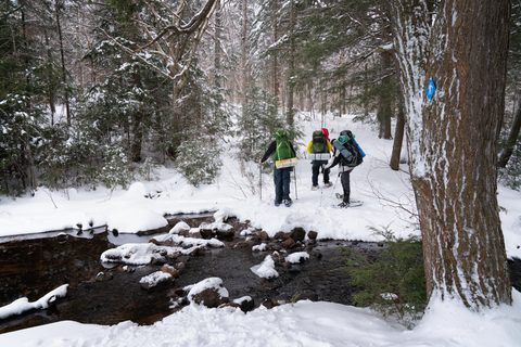 Photo from New Moon Snowshoeing, Guskewau Lake, Algonquin