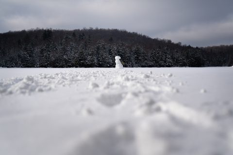 Photo from New Moon Snowshoeing, Guskewau Lake, Algonquin
