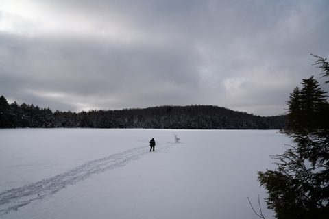 Photo from New Moon Snowshoeing, Guskewau Lake, Algonquin