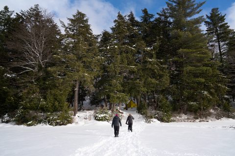 Photo from New Moon Snowshoeing, Guskewau Lake, Algonquin