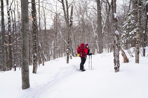 Photo from New Moon Snowshoeing, Guskewau Lake, Algonquin