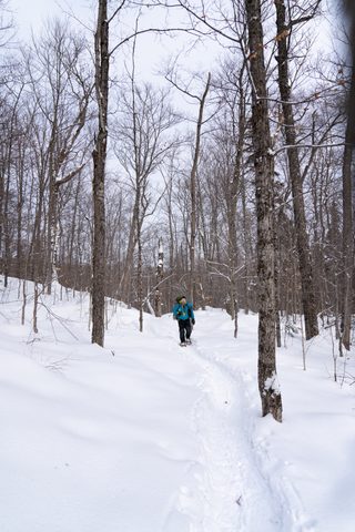 Photo from New Moon Snowshoeing, Guskewau Lake, Algonquin