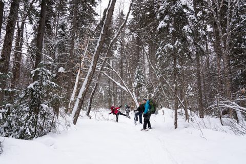Photo from New Moon Snowshoeing, Guskewau Lake, Algonquin