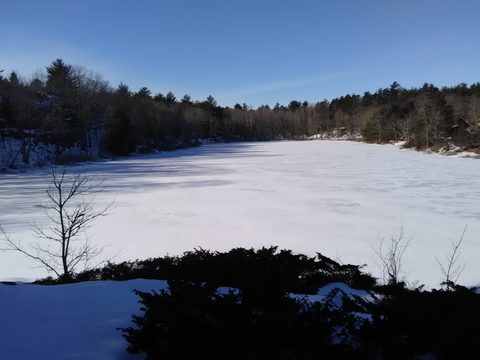 Photo from Snowshoe Trip To Mc Crae Lake