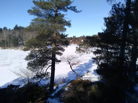 Photo from Snowshoe Trip To Mc Crae Lake
