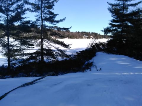 Photo from Snowshoe Trip To Mc Crae Lake
