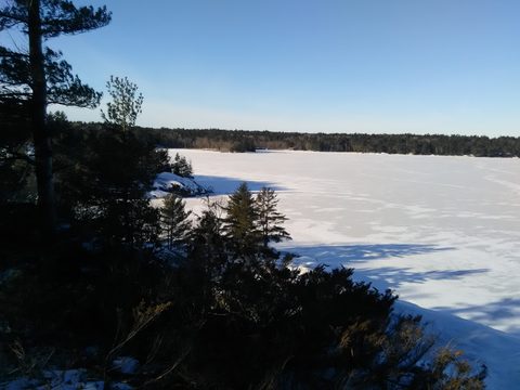 Photo from Snowshoe Trip To Mc Crae Lake