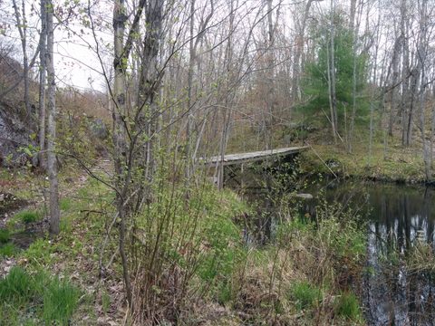 Slightly sketchy bridge.