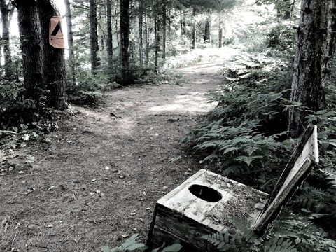 Photo from August Long Weekend in Algonquin Provincial Park