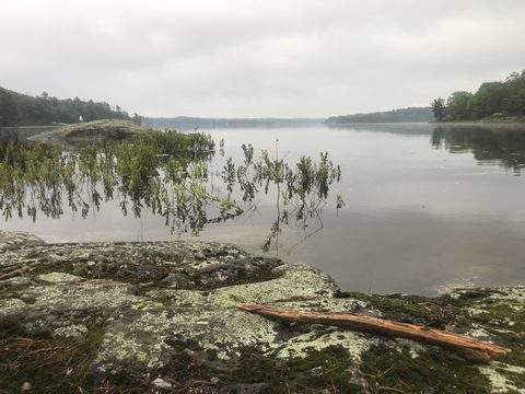Photo from Backcountry Canoeing & Hiking Trip at the Massassauga prov park