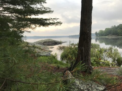 Photo from Backcountry Canoeing & Hiking Trip at the Massassauga prov park