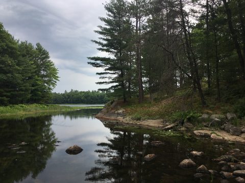 Photo from Backcountry Canoeing & Hiking Trip at the Massassauga prov park