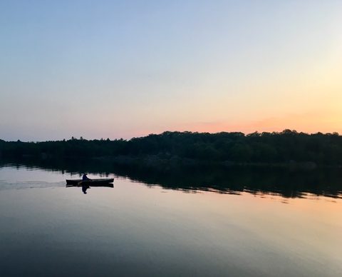 Photo from Backcountry Canoeing & Hiking Trip at the Massassauga prov park