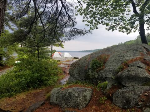 Photo from Backcountry Canoeing & Hiking Trip at the Massassauga prov park