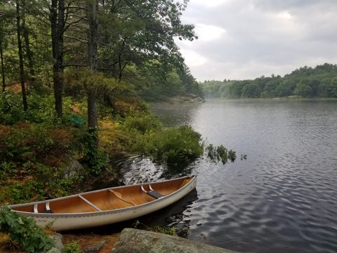 Photo from Backcountry Canoeing & Hiking Trip at the Massassauga prov park