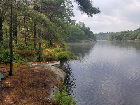 Photo from Backcountry Canoeing & Hiking Trip at the Massassauga prov park