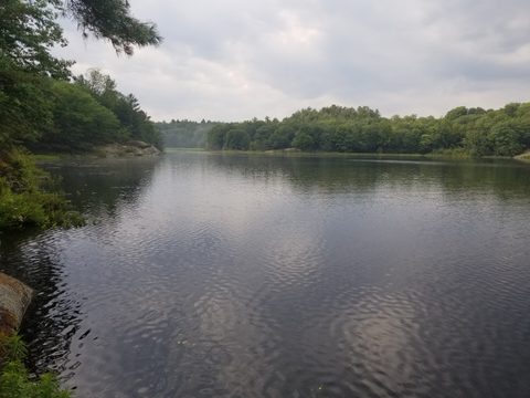 Photo from Backcountry Canoeing & Hiking Trip at the Massassauga prov park