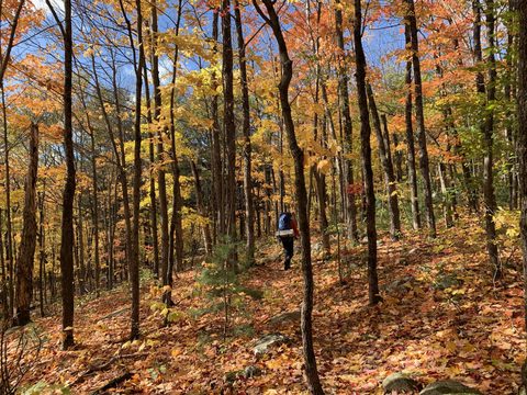 Photo from La Cloche Silhouette Backpacking Trail - Killarney Provincial Park