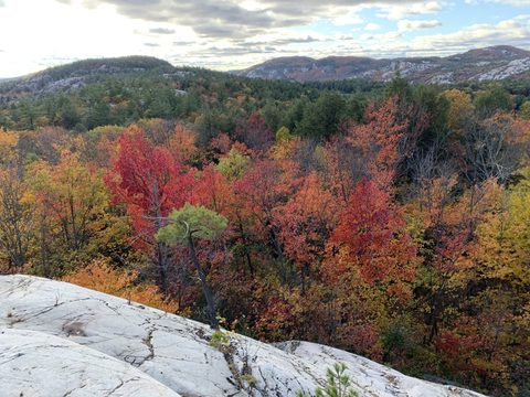 Photo from La Cloche Silhouette Backpacking Trail - Killarney Provincial Park