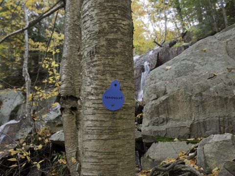 Photo from La Cloche Silhouette Backpacking Trail - Killarney Provincial Park