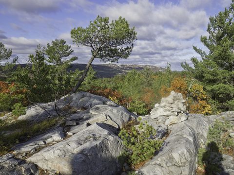 Photo from La Cloche Silhouette Backpacking Trail - Killarney Provincial Park