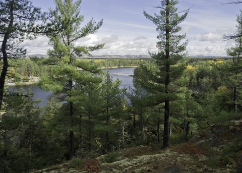 Photo from La Cloche Silhouette Backpacking Trail - Killarney Provincial Park