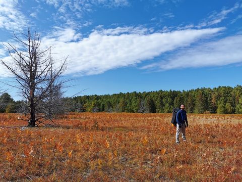 Photo from Highland Backpacking Trail - Algonquin Provincial Park