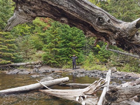 Photo from Highland Backpacking Trail - Algonquin Provincial Park