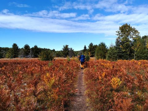 Photo from Highland Backpacking Trail - Algonquin Provincial Park