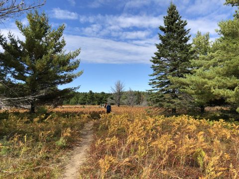 Photo from Highland Backpacking Trail - Algonquin Provincial Park