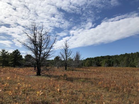 Photo from Highland Backpacking Trail - Algonquin Provincial Park
