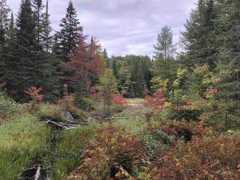 Photo from Highland Backpacking Trail - Algonquin Provincial Park