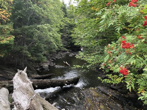 Photo from Highland Backpacking Trail - Algonquin Provincial Park